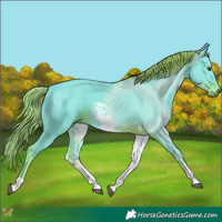 Horse Color:Watercolor White Spotted Liver Chestnut 