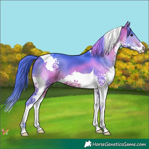 Horse Color:Watercolor Bay Splash Tobiano 