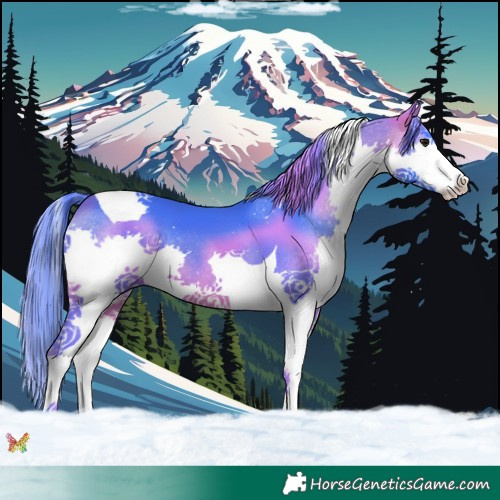 Horse Color:Watercolor Bay Splash Tobiano 