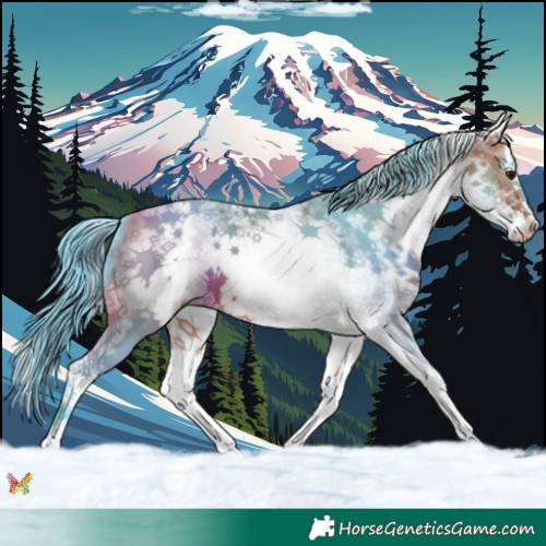 Horse Color:Watercolor White Spotted Bay Sabino Splash 