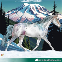 Horse Color:Watercolor White Spotted Bay Sabino Splash