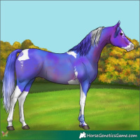 Horse Color:Watercolor Brown Splash Tobiano