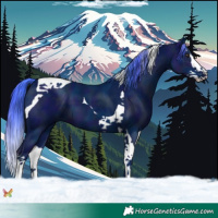 Horse Color:Watercolor Midnight Liver Chestnut Splash Tobiano 