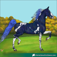 Horse Color:Watercolor Midnight Liver Chestnut Splash Tobiano 