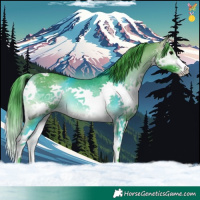Horse Color:Watercolor Buckskin Onyx Splash Tobiano 