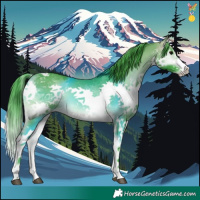 Horse Color:Watercolor Buckskin Onyx Splash Tobiano