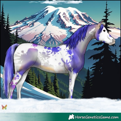 Horse Color:Watercolor Buckskin Onyx Splash Tobiano