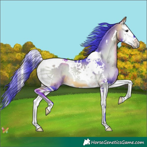 Horse Color:Watercolor Buckskin Onyx Splash Tobiano 