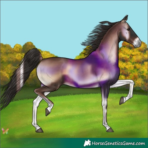 Horse Color:Liver Red Onyx Tobiano 