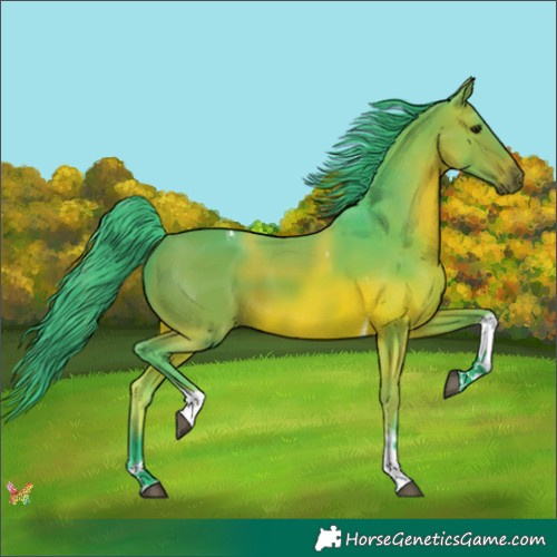 Horse Color:Watercolor Bay Tobiano