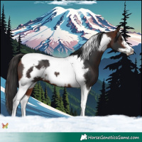 Horse Color:Bay Tobiano Frame 