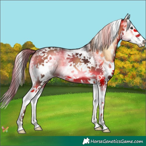 Horse Color:White Spotted Liver Red Onyx Splash 