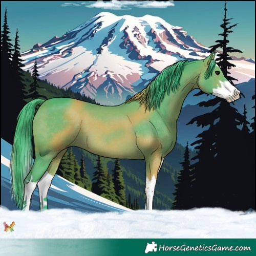Horse Color:Watercolor Brown Splash 
