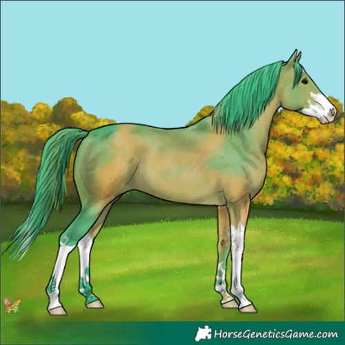 Horse Color:Watercolor Brown Splash 