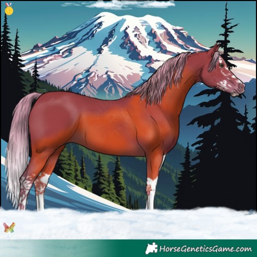 Horse Color:Watercolor Liver Chestnut Splash