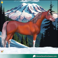 Horse Color:Watercolor Liver Chestnut Splash