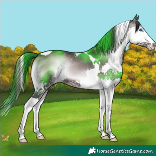 Horse Color:Platinum Liver Red Onyx Splash Tobiano 
