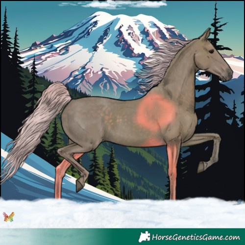 Horse Color:Watercolor Silver Black 