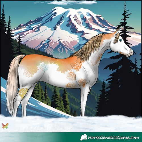 Horse Color:Watercolor Liver Red Onyx Splash 