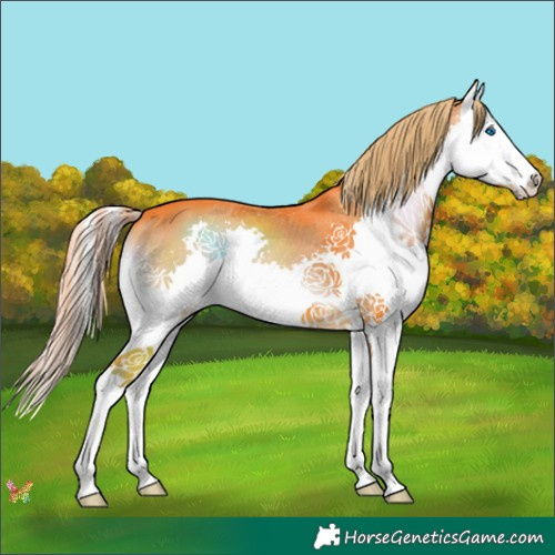 Horse Color:Watercolor Liver Red Onyx Splash 