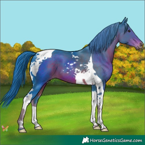 Horse Color:Watercolor Liver Chestnut Tobiano 