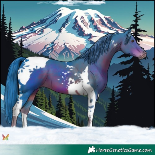 Horse Color:Watercolor Liver Chestnut Tobiano 