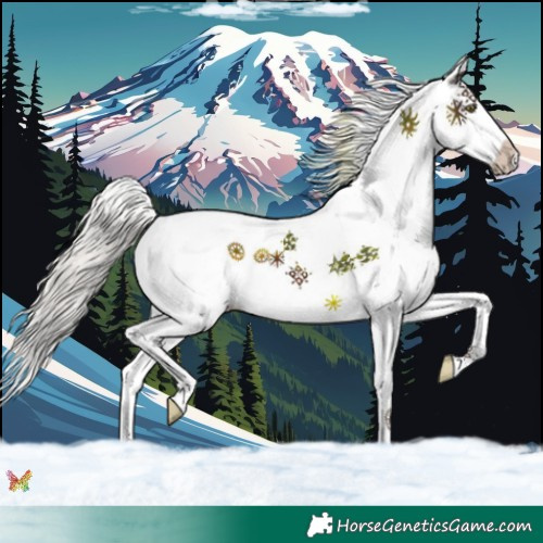 Horse Color:White Spotted Silver Brown Splash 