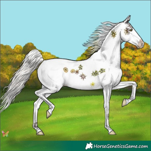 Horse Color:White Spotted Silver Brown Splash 