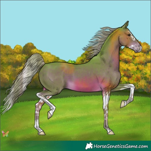 Horse Color:Watercolor Liver Chestnut Splash 