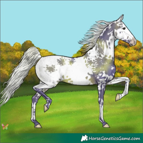 Horse Color:Watercolor White Spotted Silver Brown Splash 