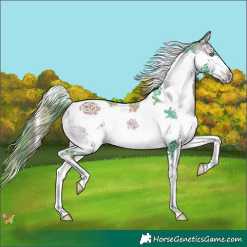 Horse Color:Watercolor Brown Onyx Splash Tobiano 