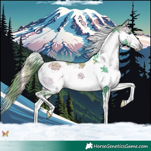Horse Color:Watercolor Brown Onyx Splash Tobiano 