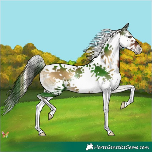 Horse Color:Liver Red Onyx Splash Tobiano 