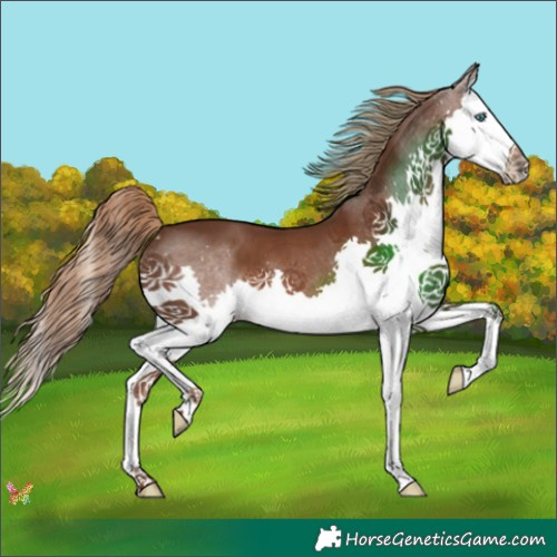 Horse Color:Liver Chestnut Splash 