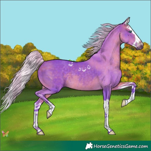 Horse Color:Watercolor Silver Brown Splash 