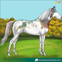 Horse Color:Watercolor Silver Brown Splash Tobiano 