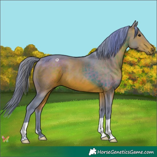 Horse Color:Watercolor Brown 
