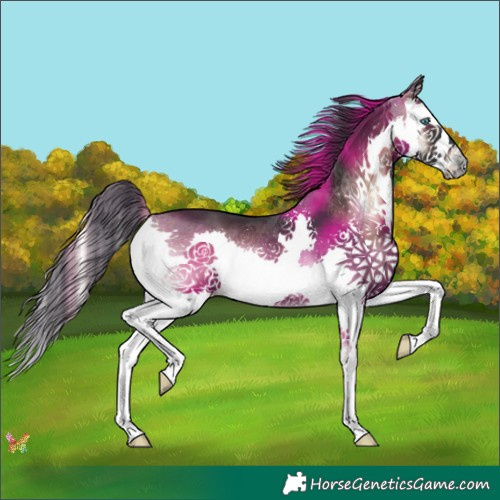 Horse Color:Brown Onyx Splash 