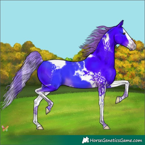 Horse Color:Watercolor Liver Chestnut Splash Tobiano 