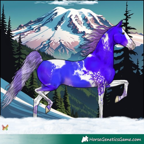 Horse Color:Watercolor Liver Chestnut Splash Tobiano 