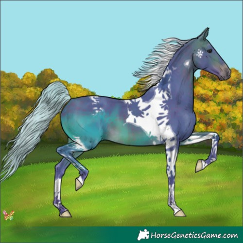 Horse Color:Watercolor Silver Brown Tobiano 