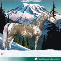 Horse Color:Watercolor Silver Black Splash Tobiano 