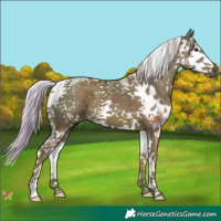 Horse Color:Watercolor Silver Black Splash Tobiano 