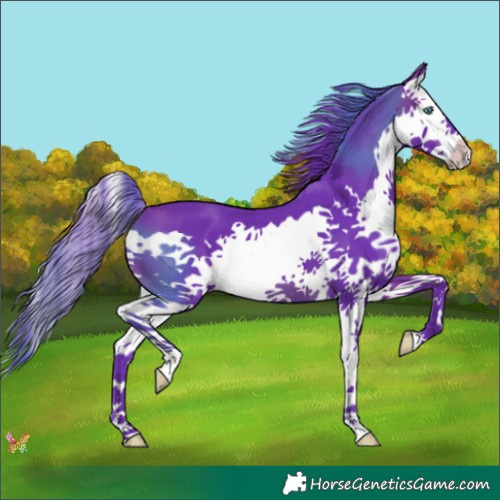Horse Color:Watercolor Brown Splash 