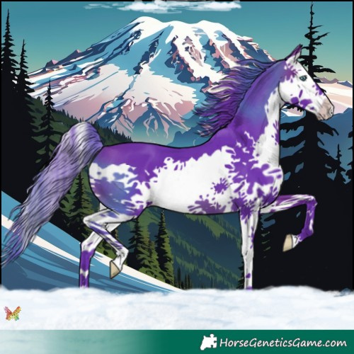 Horse Color:Watercolor Brown Splash 