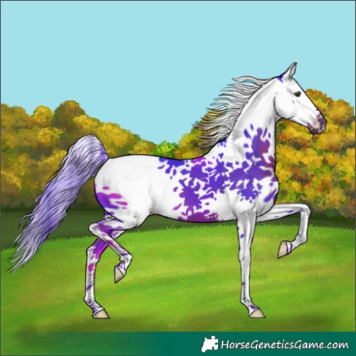 Horse Color:Watercolor Liver Chestnut Splash Tobiano 