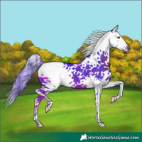Horse Color:Watercolor Liver Chestnut Splash Tobiano 