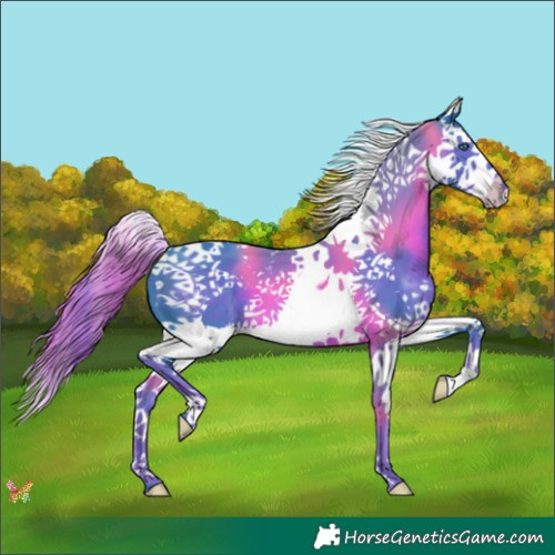 Horse Color:Watercolor Liver Chestnut Splash Tobiano 