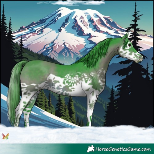 Horse Color:Watercolor Brown Splash 