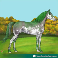 Horse Color:Watercolor Brown Splash 